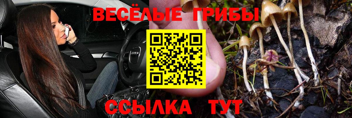 Псилоцибиновые грибы MAGIC MUSHROOMS Юрга